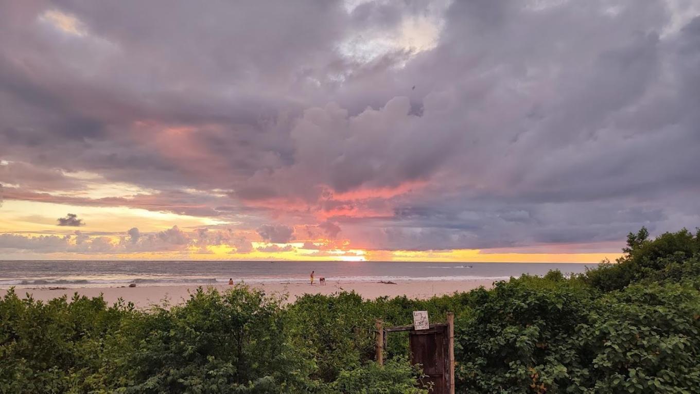 Kamala Surf & Backpacker Hostel Montañita エクステリア 写真